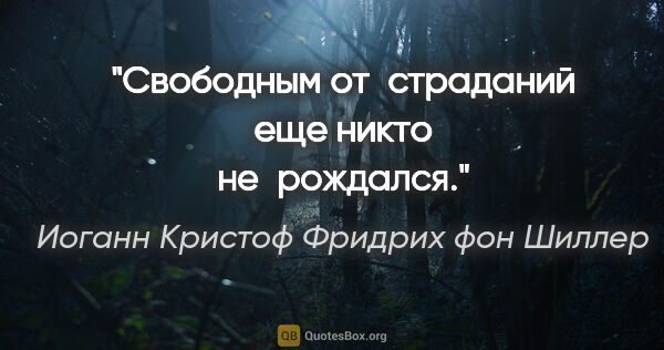 Иоганн Кристоф Фридрих фон Шиллер цитата: "Свободным от страданий еще никто не рождался."