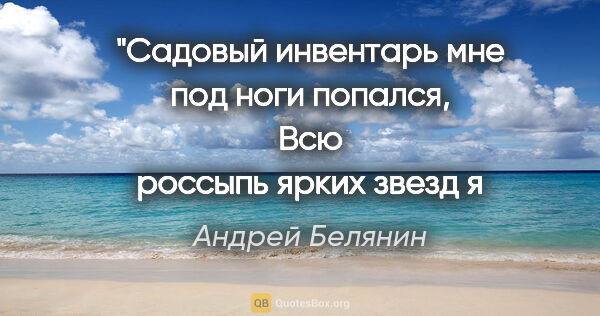 Андрей Белянин цитата: "Садовый инвентарь мне под ноги попался,
Всю россыпь ярких..."