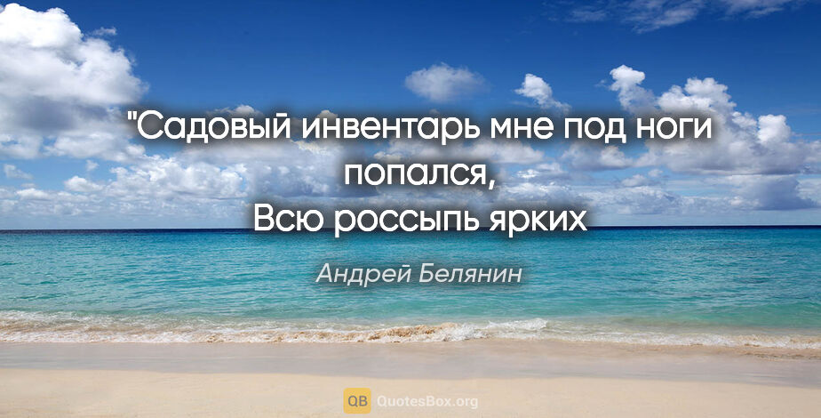 Андрей Белянин цитата: "Садовый инвентарь мне под ноги попался,
Всю россыпь ярких..."