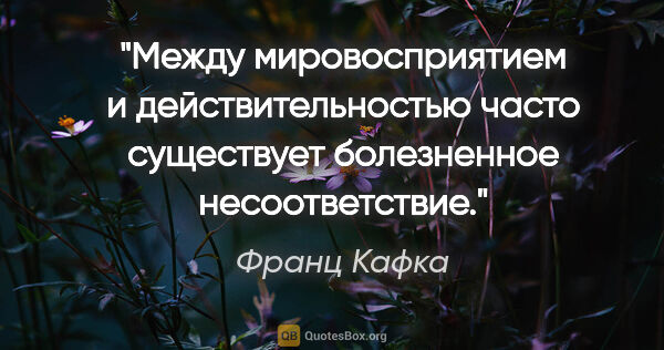 Франц Кафка цитата: "Между мировосприятием и действительностью часто существует..."