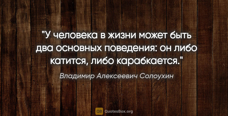 Владимир Алексеевич Солоухин цитата: "У человека в жизни может быть два основных поведения: он либо..."