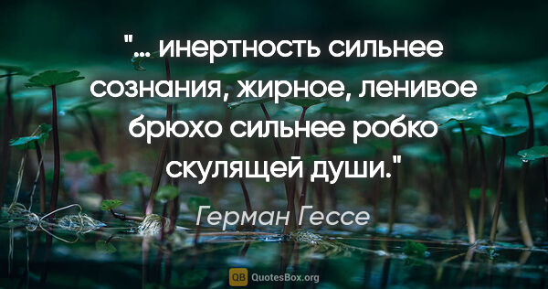 Герман Гессе цитата: "«… инертность сильнее сознания, жирное, ленивое брюхо сильнее..."