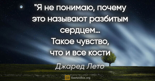 Джаред Лето цитата: "Я не понимаю, почему это называют разбитым сердцем…
Такое..."