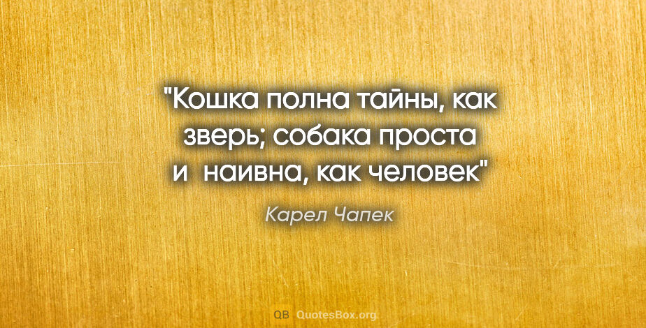 Карел Чапек цитата: "Кошка полна тайны, как зверь; собака проста и наивна, как человек"