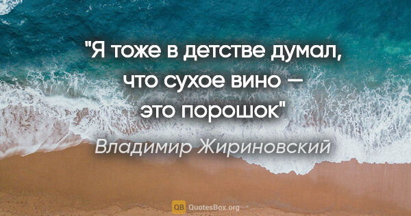 Владимир Жириновский цитата: "Я тоже в детстве думал, что сухое вино — это порошок"