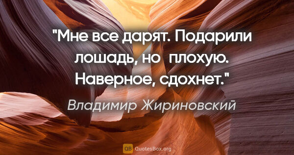 Владимир Жириновский цитата: "Мне все дарят. Подарили лошадь, но плохую. Наверное, сдохнет."