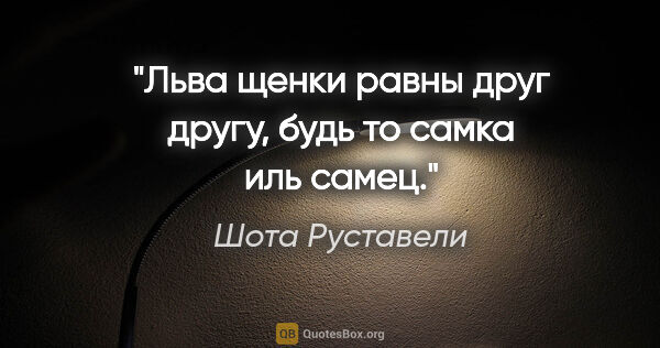 Шота Руставели цитата: "Льва щенки равны друг другу, будь то самка иль самец."