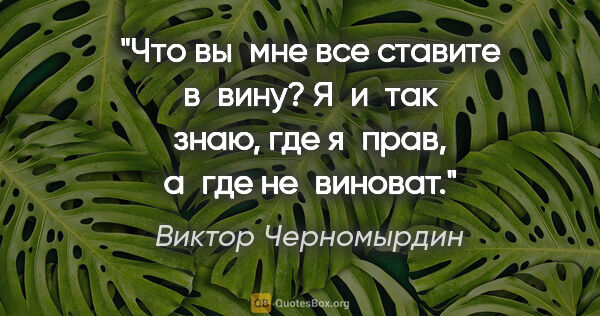 Виктор Черномырдин цитата: "Что вы мне все ставите в вину? Я и так знаю, где я прав, а где..."
