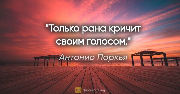 Антонио Поркья цитата: "Только рана кричит своим голосом."