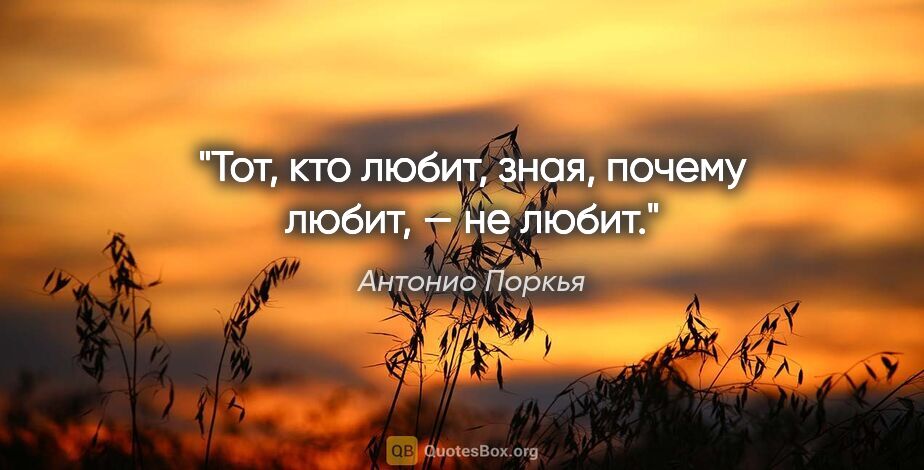 Антонио Поркья цитата: "Тот, кто любит, зная, почему любит, — не любит."