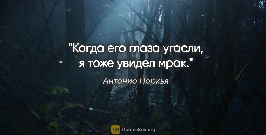 Антонио Поркья цитата: "Когда его глаза угасли, я тоже увидел мрак."