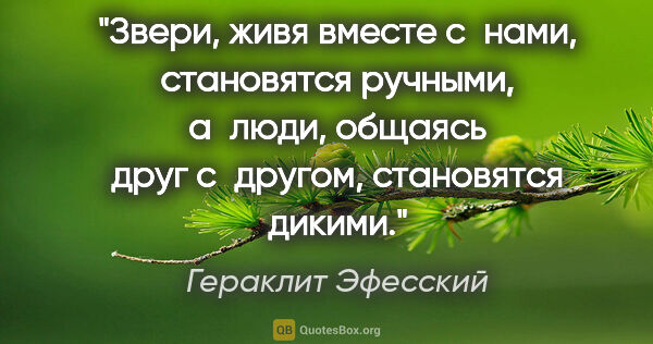 Гераклит Эфесский цитата: "Звери, живя вместе с нами, становятся ручными, а люди, общаясь..."