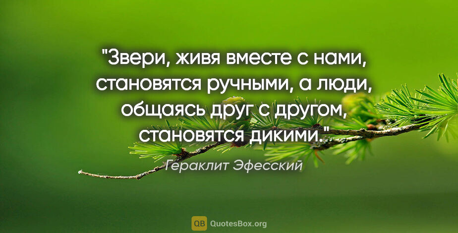 Гераклит Эфесский цитата: "Звери, живя вместе с нами, становятся ручными, а люди, общаясь..."