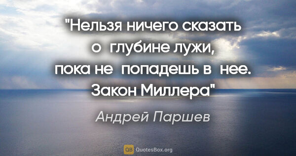 Андрей Паршев цитата: "Нельзя ничего сказать о глубине лужи, пока не попадешь..."