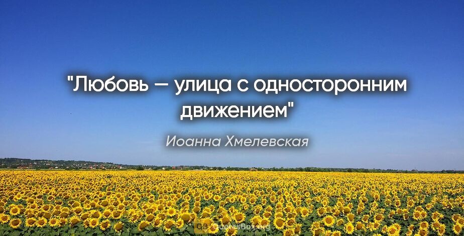 Иоанна Хмелевская цитата: "Любовь — улица с односторонним движением"