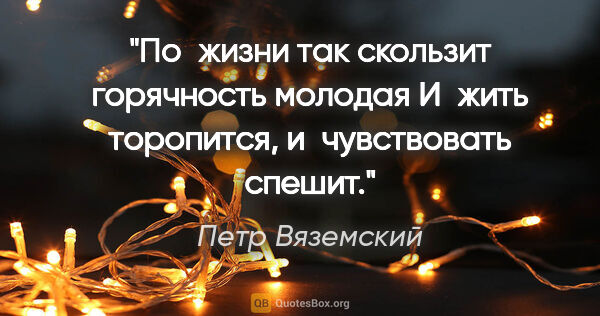 Петр Вяземский цитата: "По жизни так скользит горячность молодая
И жить торопится,..."