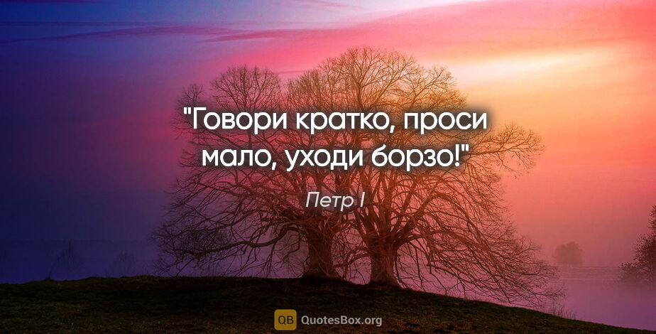 Петр I цитата: "Говори кратко, проси мало, уходи борзо!"