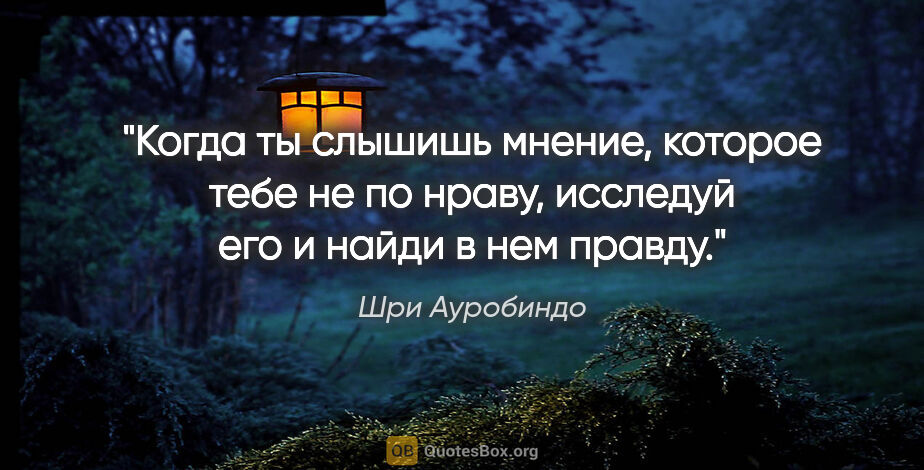 Шри Ауробиндо цитата: "Когда ты слышишь мнение, которое тебе не по нраву, исследуй..."