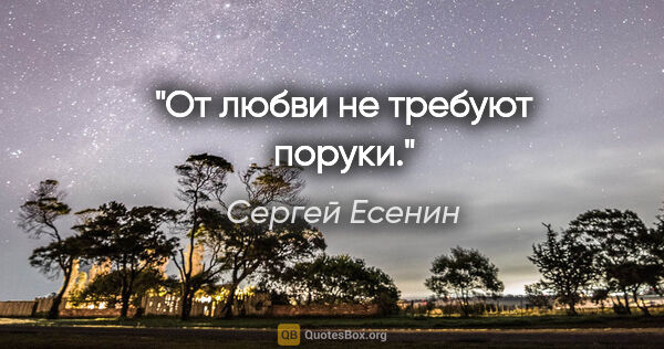 Сергей Есенин цитата: "От любви не требуют поруки."