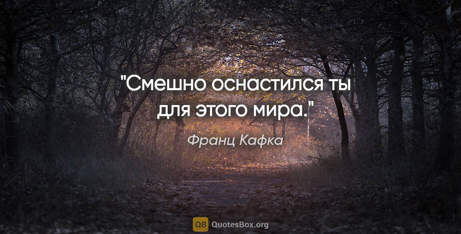 Франц Кафка цитата: "Смешно оснастился ты для этого мира."