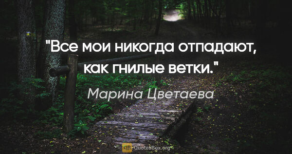 Марина Цветаева цитата: "Все мои «никогда» отпадают, как гнилые ветки."