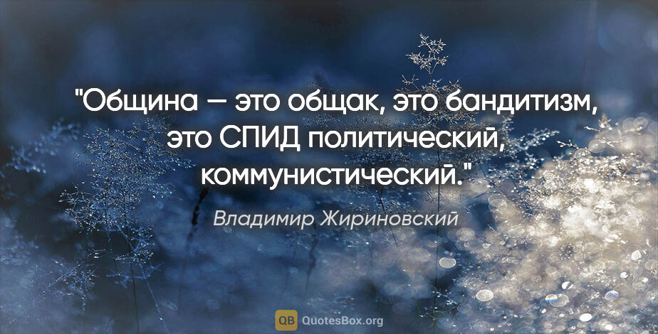Владимир Жириновский цитата: "Община — это общак, это бандитизм, это СПИД политический,..."