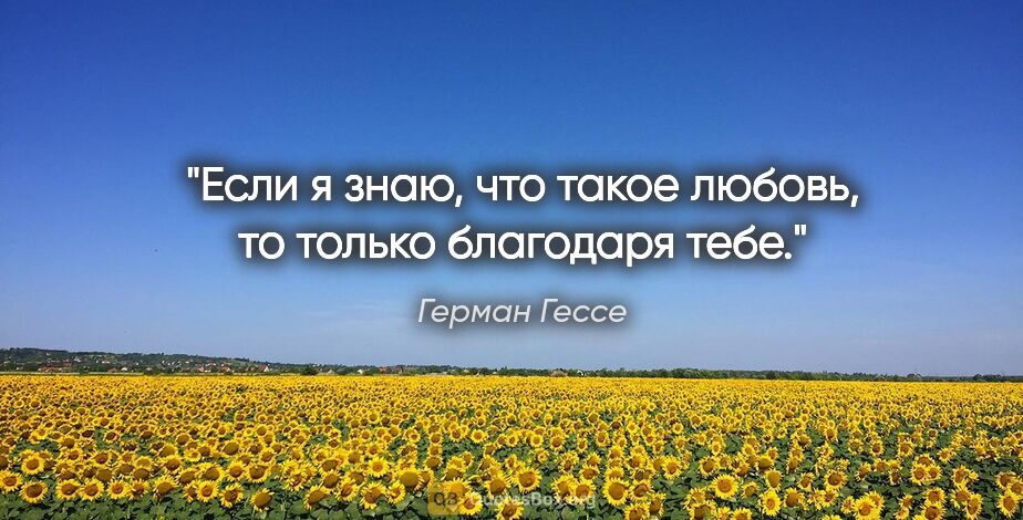 Герман Гессе цитата: "Если я знаю, что такое любовь, то только благодаря тебе."