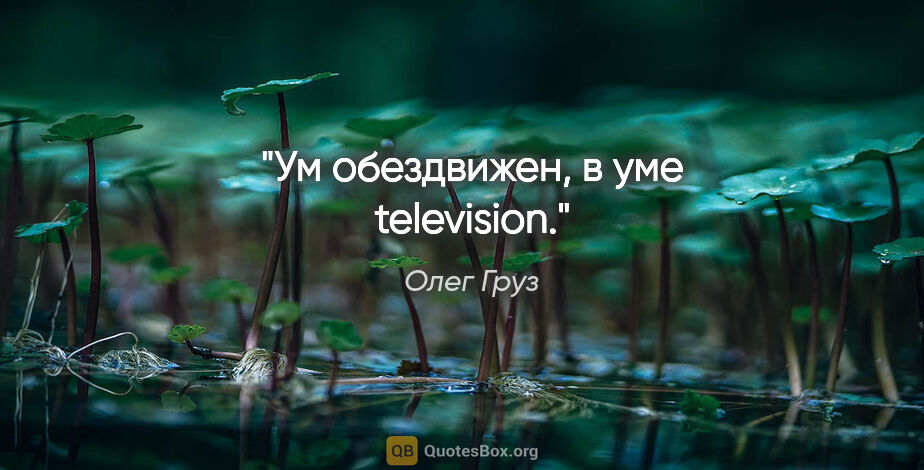 Олег Груз цитата: "Ум обездвижен, в уме television."