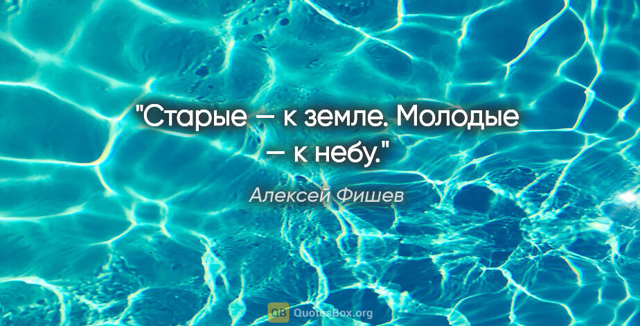 Алексей Фишев цитата: "Старые — к земле. Молодые — к небу."