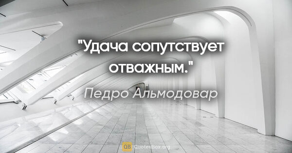 Педро Альмодовар цитата: "Удача сопутствует отважным."