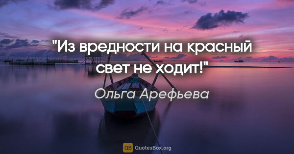 Ольга Арефьева цитата: "Из вредности на красный свет не ходит!"