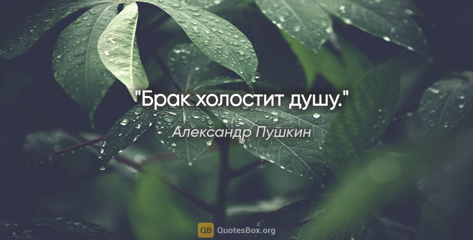 Александр Пушкин цитата: "Брак холостит душу."
