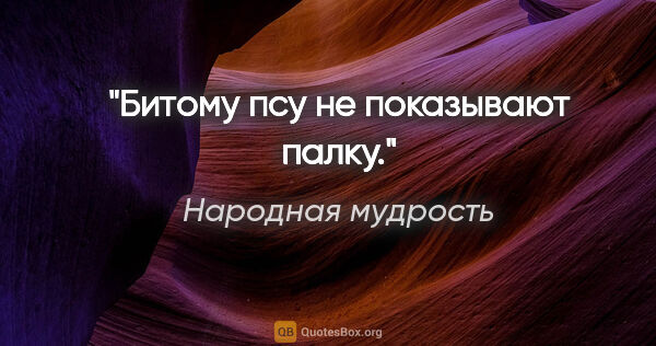 Народная мудрость цитата: "Битому псу не показывают палку."