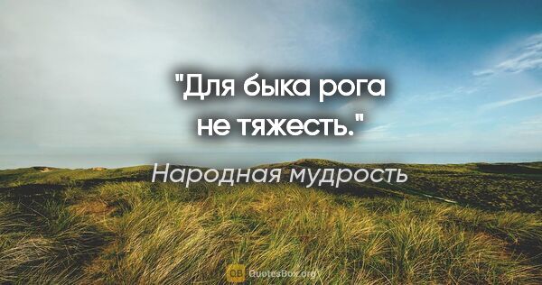 Народная мудрость цитата: "Для быка рога не тяжесть."