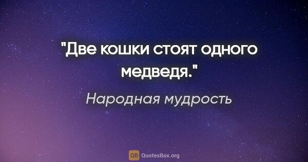 Народная мудрость цитата: "Две кошки стоят одного медведя."