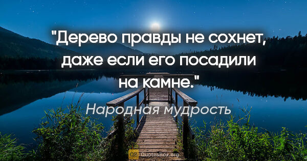 Народная мудрость цитата: "Дерево правды не сохнет, даже если его посадили на камне."