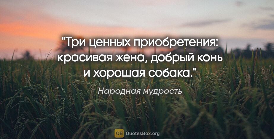 Народная мудрость цитата: "Три ценных приобретения: красивая жена, добрый конь и хорошая..."