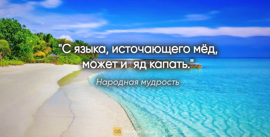 Народная мудрость цитата: "С языка, источающего мёд, может и яд капать."