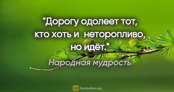 Народная мудрость цитата: "Дорогу одолеет тот, кто хоть и неторопливо, но идёт."