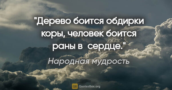 Народная мудрость цитата: "Дерево боится обдирки коры, человек боится раны в сердце."