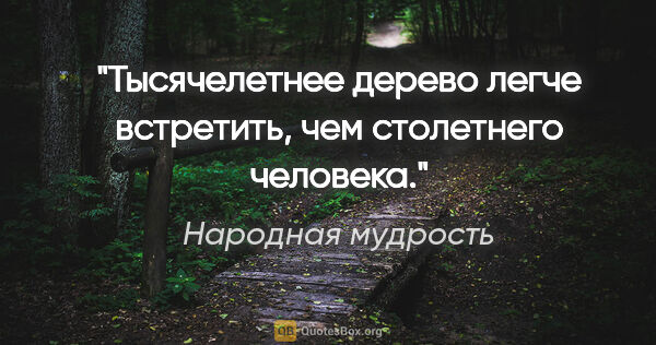 Народная мудрость цитата: "Тысячелетнее дерево легче встретить, чем столетнего человека."