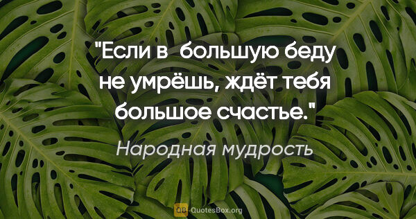 Народная мудрость цитата: "Если в большую беду не умрёшь, ждёт тебя большое счастье."