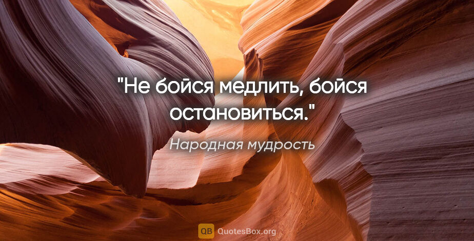 Народная мудрость цитата: "Не бойся медлить, бойся остановиться."