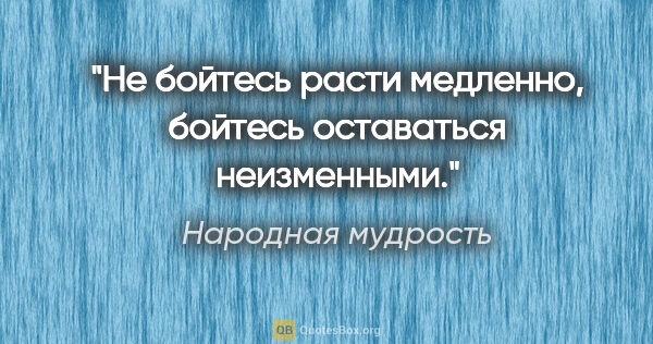 Народная мудрость цитата: "Не бойтесь расти медленно, бойтесь оставаться неизменными."