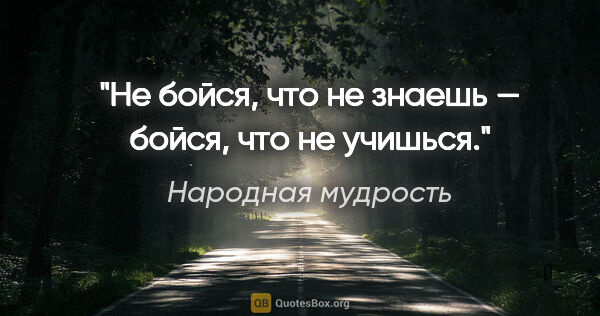 Народная мудрость цитата: "Не бойся, что не знаешь — бойся, что не учишься."