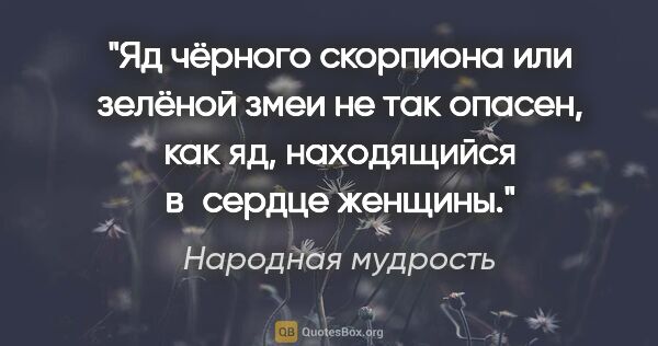 Народная мудрость цитата: "Яд чёрного скорпиона или зелёной змеи не так опасен, как яд,..."