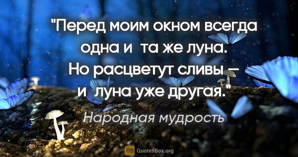 Народная мудрость цитата: "Перед моим окном всегда одна и та же луна. Но расцветут сливы..."