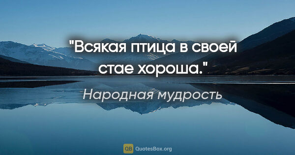 Народная мудрость цитата: "Всякая птица в своей стае хороша."