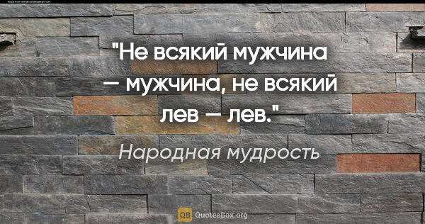 Народная мудрость цитата: "Не всякий мужчина — мужчина, не всякий лев — лев."