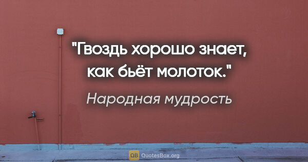 Народная мудрость цитата: "Гвоздь хорошо знает, как бьёт молоток."